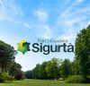 Sigurta_Adulto