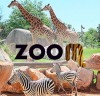 Zoom_Singolo 