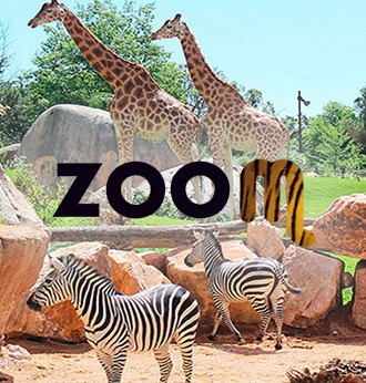 Zoom_Singolo 