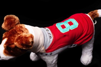 IFOur_shirt_Rossa_XXL IFOur_shirt_Rossa_XXL