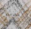 170PTK14202