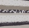 170PTK14213