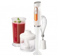 Frullatore a immersione da 600W