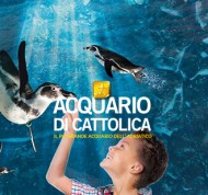 Biglietto Adulto 