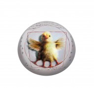 Fermacarte Vitruvian Chick in vetro dalla forma semisferica con grafica retro stampata