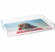 Vassoio rettangolare Puppy Chow in cristallo acrilico con decorazione retro stampata